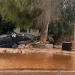 BM: Libya'daki sel felaketinde 4 bin 255 kişi yaşamını yitirdi