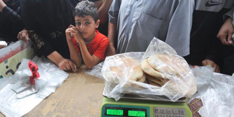 BM deposunu yağmalayan Gazzeli: “İhtiyacımız olmasa yapmazdık”