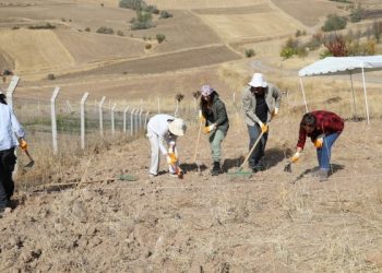 Çubuk’ta Ankara Savaşı’ndan kalma toplu mezar bulundu