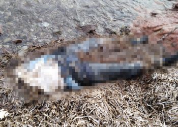 Dehşete düşüren görüntü: Bodrum'da belden yukarısı olmayan kadın cesedi bulundu!