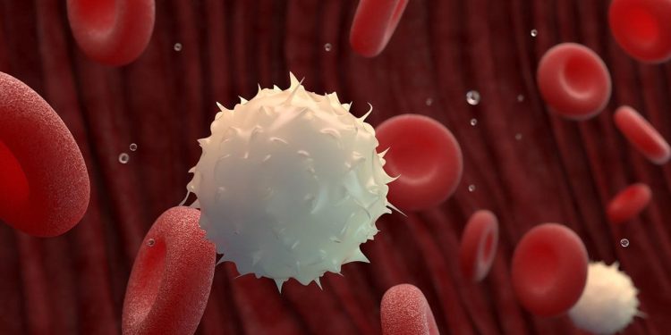 Diyabet ve MS'e karşı 'ters aşı' umudu