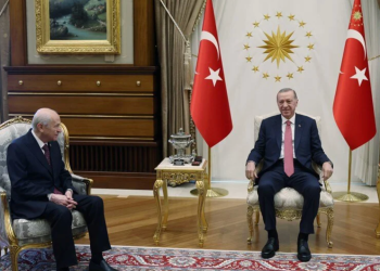 Erdoğan - Bahçeli görüşmesinin detayları ortaya çıktı