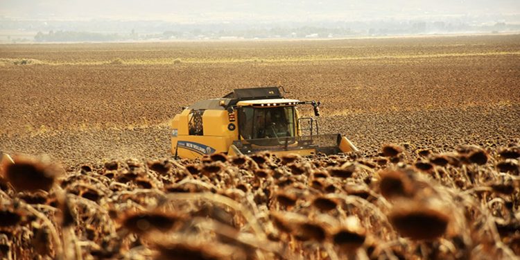 Hasadı hızlı başladı. Yapamazsın diyenlere inat şimdi 181 milyon lira gelir bekleniyor