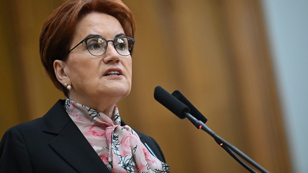 İktidarın Filistin mitingine Meral Akşener'den tepki