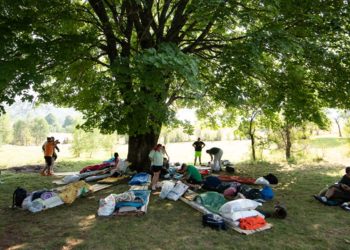 Karadağ'ın 'en tembelleri' belli oldu: 49 gün boyunca yatarak 1000 euro kazandılar