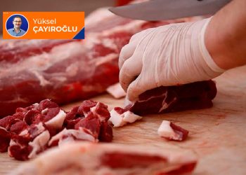 Kimin kestiği yenir?