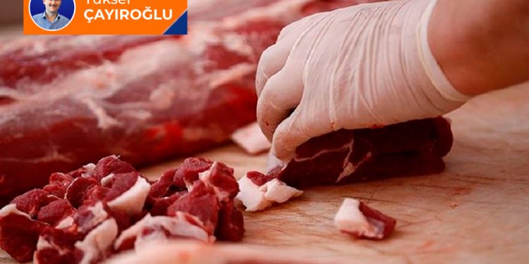 Kimin kestiği yenir?