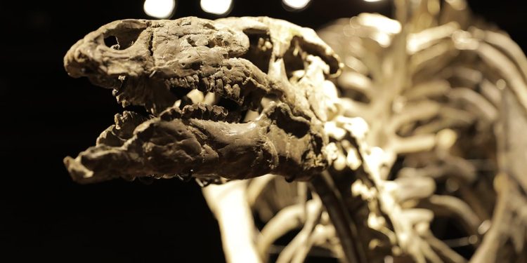 Paris'te 150 milyon yıllık dinozor iskeleti açık artırmayla satıldı: 930 bin euro