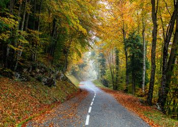 Patika koşusuna ilgi son 10 yılda %231 arttı