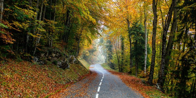 Patika koşusuna ilgi son 10 yılda %231 arttı