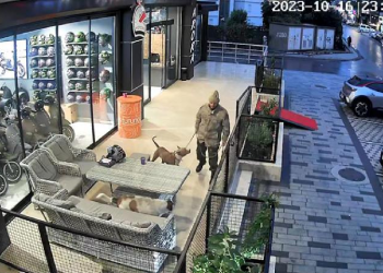 Pitbullu köpeklerin üzerine salan kişiye 33 bin 399 lira ceza uygulandı