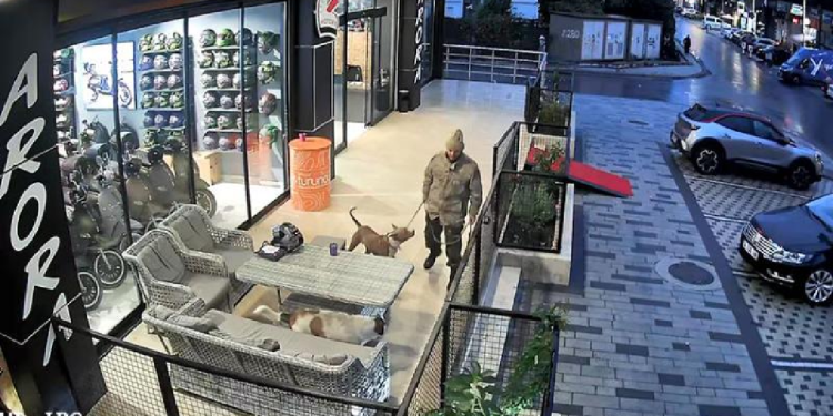 Pitbullu köpeklerin üzerine salan kişiye 33 bin 399 lira ceza uygulandı