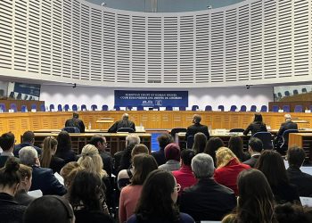 Prof. Dr. Ali D. Ulusoy: AİHM’nin kararlarını kabul etmeyen mahkeme, yargılama sistemini dinamitlemiş olur