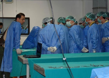 Sağlık sisteminde kriz büyüyor... Doktorların göçünün ardından tıp fakültelerinde istifalar başladı