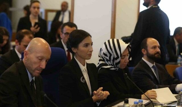 TCMB Başkanı Erkan: Enflasyon eşik değerlere gerileyene kadar büyümeden ödün vermeden de dezenflasyon sağlanabilir