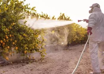 Tarımda kullanılan zehirler ölüm saçıyor, en çok çocuklar etkileniyor