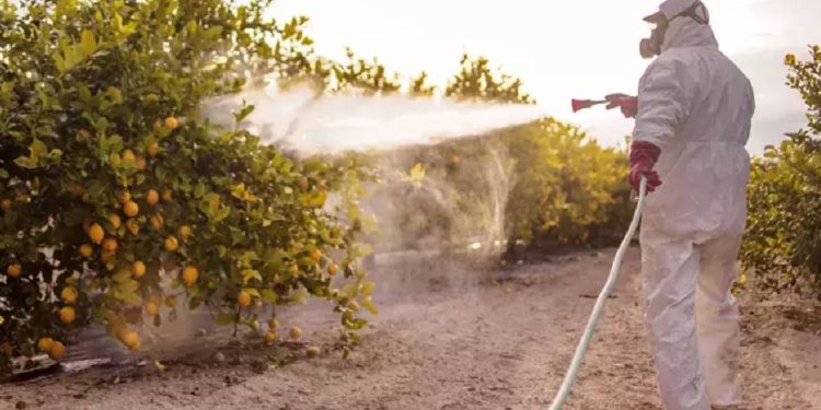 Tarımda kullanılan zehirler ölüm saçıyor, en çok çocuklar etkileniyor