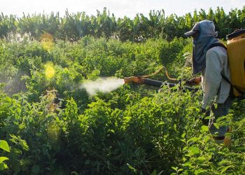 Türkiye pestisit kalıntısında AB'de ilk sırada: Yıllık 55 bin tonu aştı