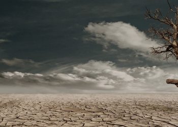 Uzmanı uyardı: İklim değişikliği solunum yolu hastalıkları etkiliyor