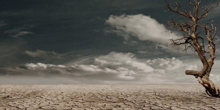 Uzmanı uyardı: İklim değişikliği solunum yolu hastalıkları etkiliyor