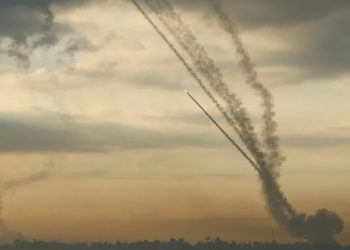 Yeşil Sol Parti: Filistin ve Kürt meselesi çözülmeden barış gelmez