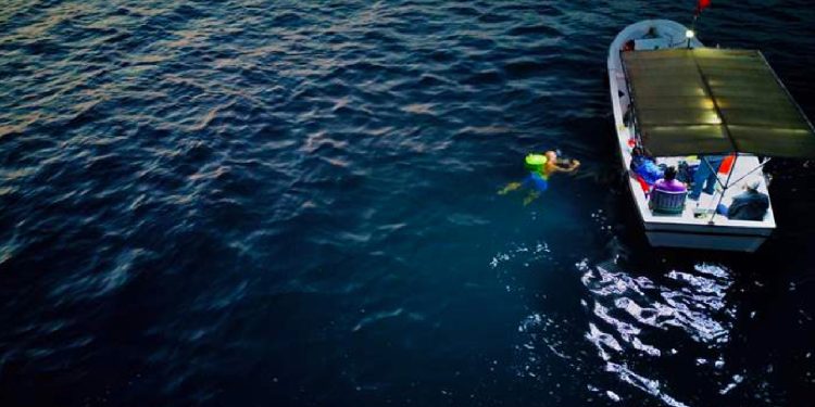 Yüzücü Alper Gezmiş, Adana'dan İskenderun'a 14 saat 58 dakikada yüzdü