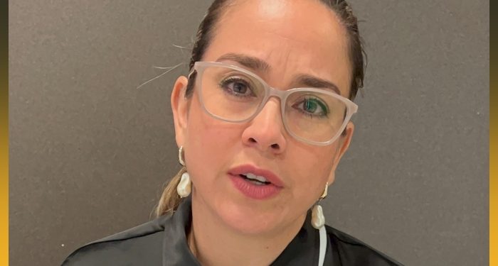 ‘Türkiye’ye demokrasi gelmesi için Hizmet diasporasına büyük iş düşüyor’