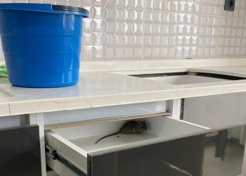 İzmir’de KYK yurdunda kalan öğrenciler: “İnsani koşullarda barınmak istiyoruz”