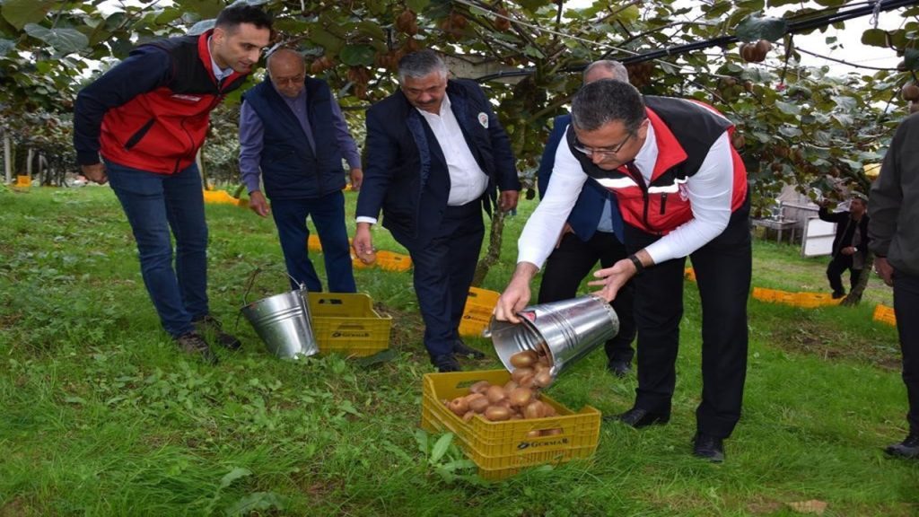 1 adet bile yiyince kış boyunca koruyor! Hasadı başladı, tonlarca ürün toplandı