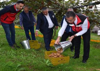 1 adet bile yiyince kış boyunca koruyor! Hasadı başladı, tonlarca ürün toplandı