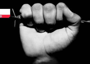 Haysiyet: Bir direniş çağrısı, eleştirel realist bir hat önerisi