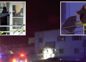 3 yaşındaki çocuk, 2 yaşındaki kardeşini öldürdü