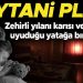 Şeytani plan: Karısını ve 2 yaşındaki kızını kobra yılanı ile öldürdü