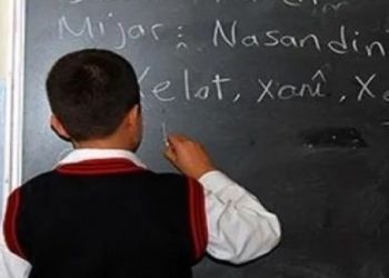 Yüzde 86,7’si çocukları için ‘anadilde eğitim’ istedi