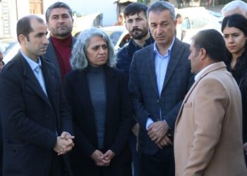 DBP Eş Genel Başkanları Êlih’te: Halkımızı şovcu kayyıma muhtaç etmeyeceğiz