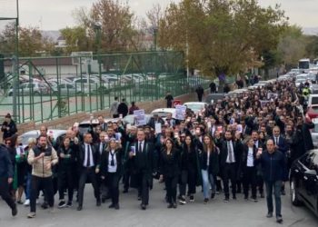 Av. Çelik: İktidar bu krizden yeni bir anayasa çıkarmayı amaçlıyor