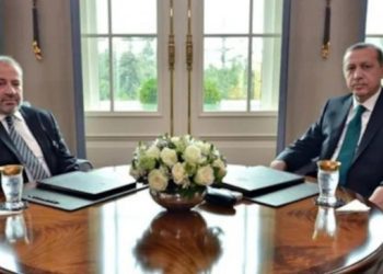 Eski danışmanından Erdoğan’a mektup: ‘Hukukçu geçinen çakallar’