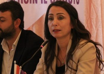 HEDEP Eş Genel Başkanı Hatimoğulları: Sınır tanımayan bir barışı birlikte inşa edelim