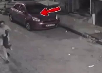 Bayrampaşa’da kaçırdığı kediyi tekmeleyip öldüren kişi tutuklandı