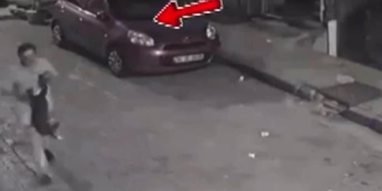 Bayrampaşa’da kaçırdığı kediyi tekmeleyip öldüren kişi tutuklandı