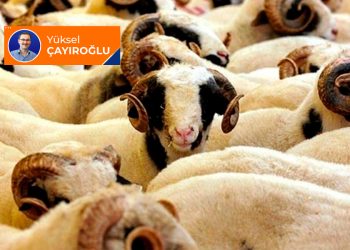 Besmelesiz kesilen hayvanın eti yenir mi?