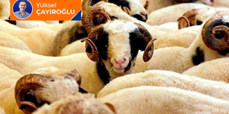 Besmelesiz kesilen hayvanın eti yenir mi?