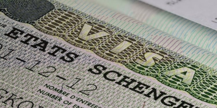 Binlerce Türk vatandaşının Almanya vize başvurusunun reddinde kalem rengi iddiası