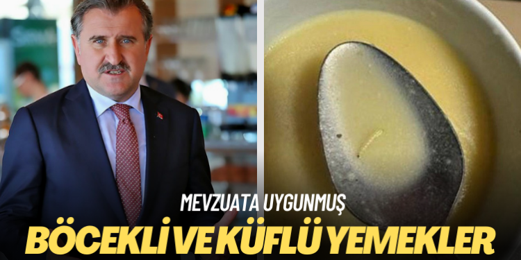 Böcekli ve küflü yemekler hangi mevzuata uygun?