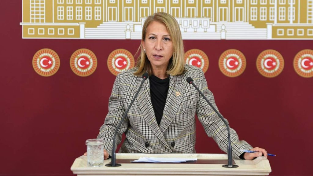 CHP'li Öneş iktidara seslendi: Bu ülkeyi bir muz cumhuriyeti haline getirmenize asla izin vermeyeceğiz