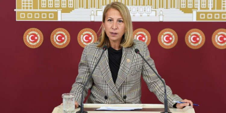CHP'li Öneş iktidara seslendi: Bu ülkeyi bir muz cumhuriyeti haline getirmenize asla izin vermeyeceğiz