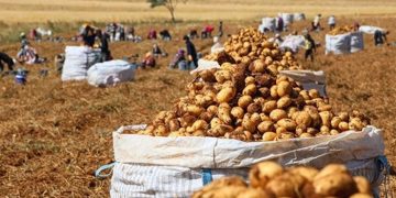 Çiftçi 5 bin TL emekli ikramiyesi için kayıt sildiriyor