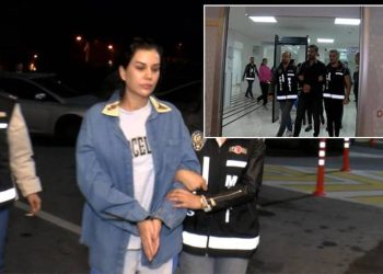 Dilan Polat'tan Akşener'e yanıt: Bizim üzerimizden siyaset yapıp iktidara saldırma nedeni yapmasın