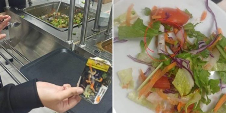 Diyarbakır’da KYK yurdunda yemekten sigara izmariti ve paketi çıktı!