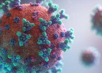 Dünya hala Covid-19'un kıskacında, Türkiye'de veri girişi yok